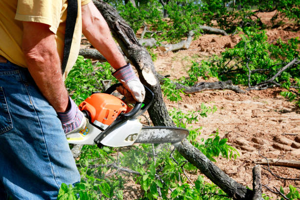  Neah Bay, WA Tree Service Pros